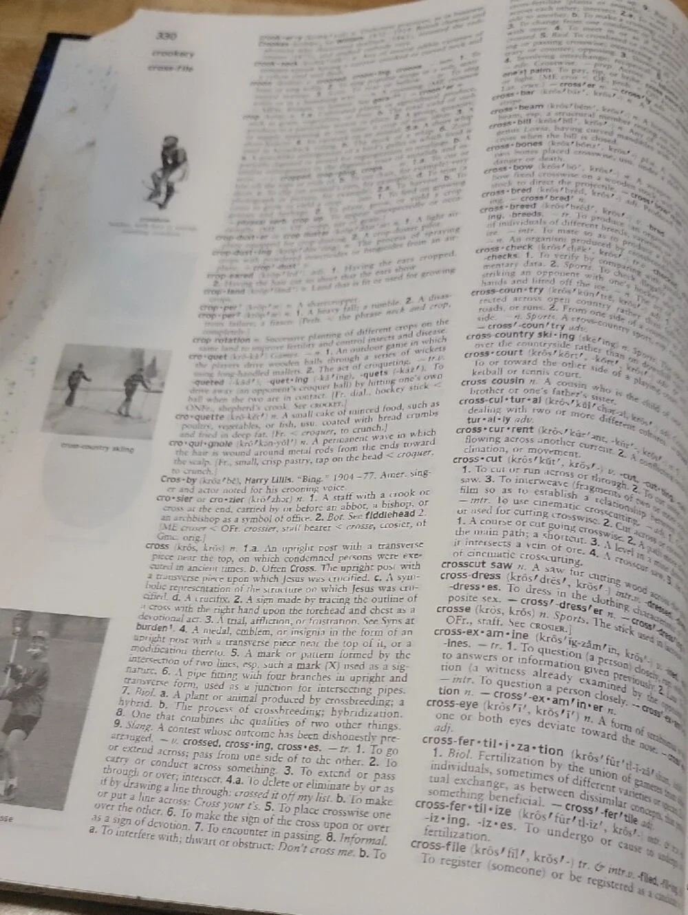 The American Heritage High School Dictionary - Houghton Mifflin